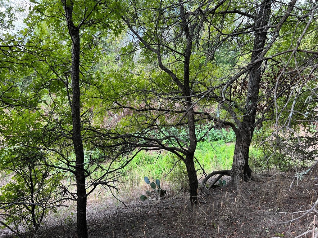 Tbd Cr 117 Road Rogers TX 76569