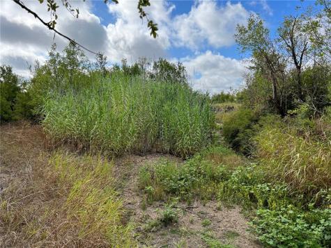 Tbd Cr 117 Road Rogers TX 76569