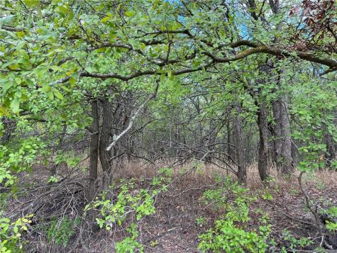 Tbd Cr 117 Road Rogers TX 76569