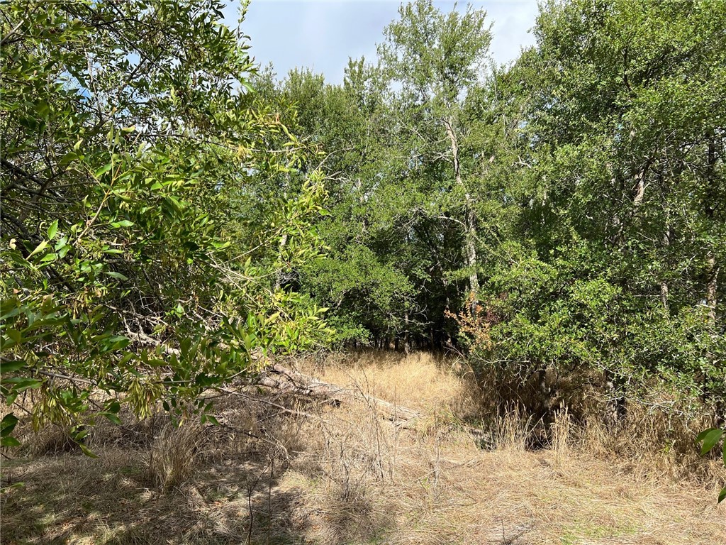 Tbd Cr 117 Road Rogers TX 76569