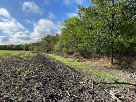 Tbd Cr 117 Road Rogers TX 76569