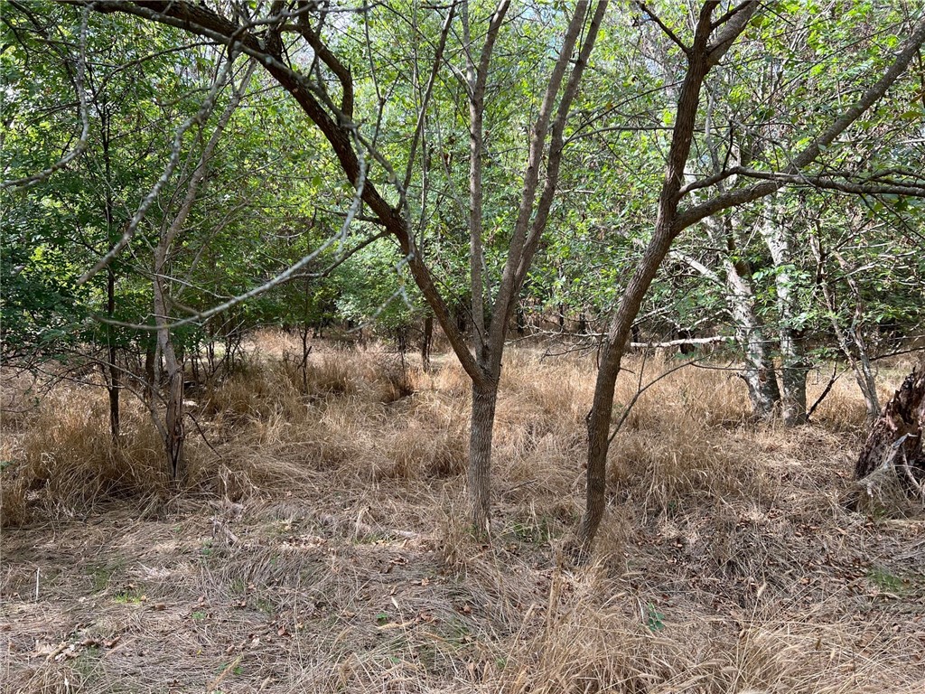 Tbd Cr 117 Road Rogers TX 76569