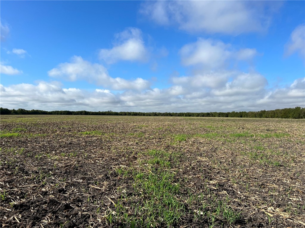 Tbd Cr 117 Road Rogers TX 76569