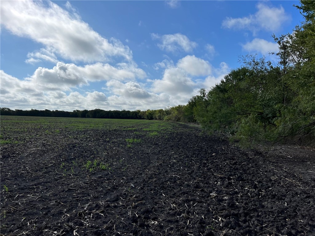Tbd Cr 117 Road Rogers TX 76569