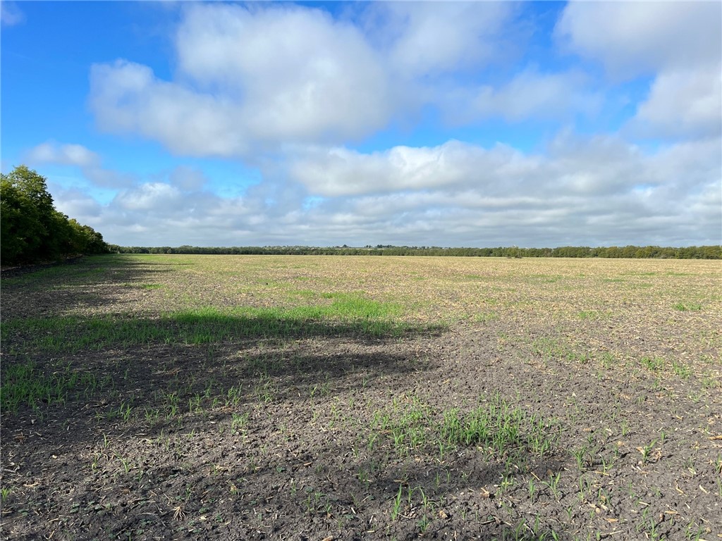 Tbd Cr 117 Road Rogers TX 76569