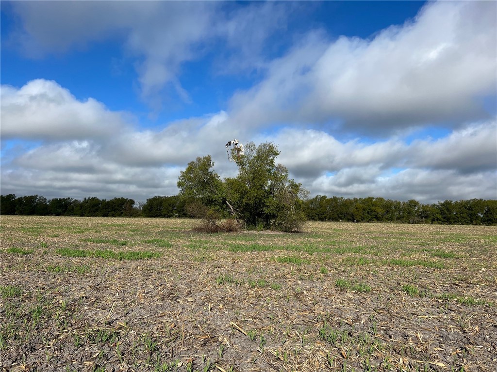 Tbd Cr 117 Road Rogers TX 76569