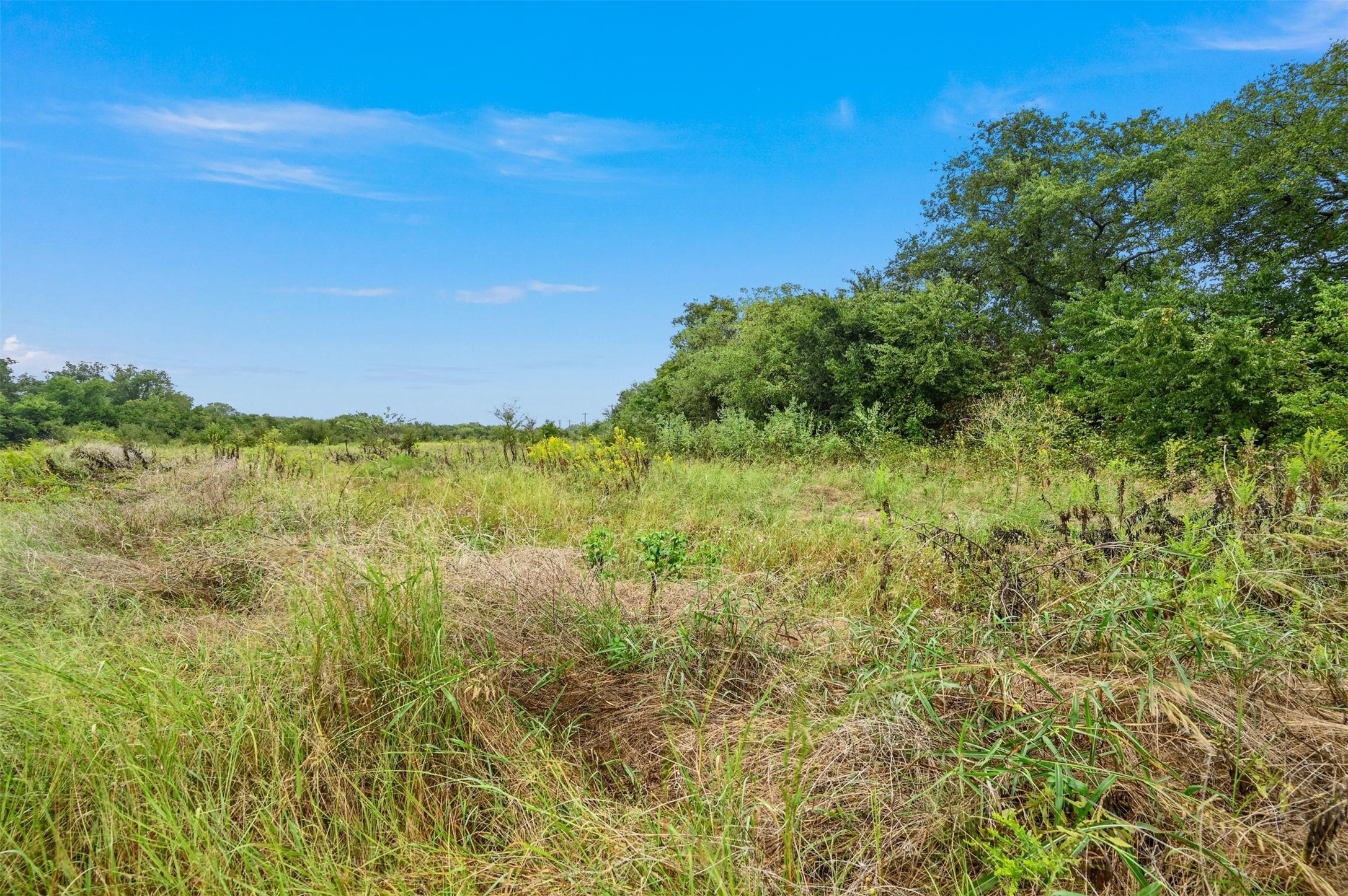1061 Black Champ Road Waxahachie TX 75167