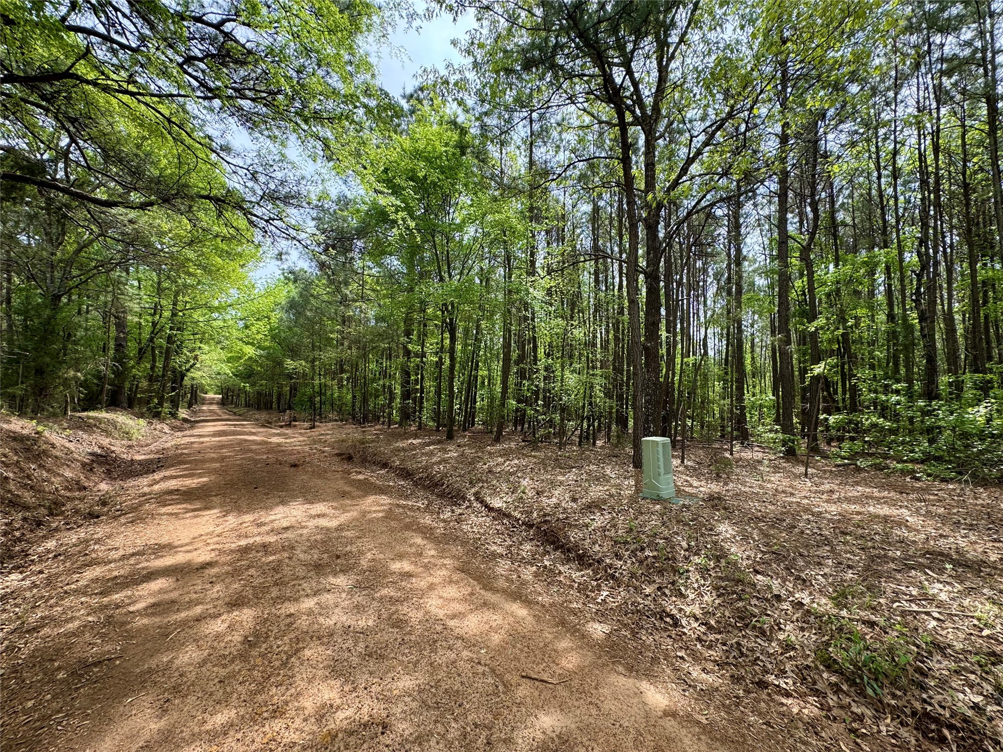 0 County Road 2742 Naples TX 75568