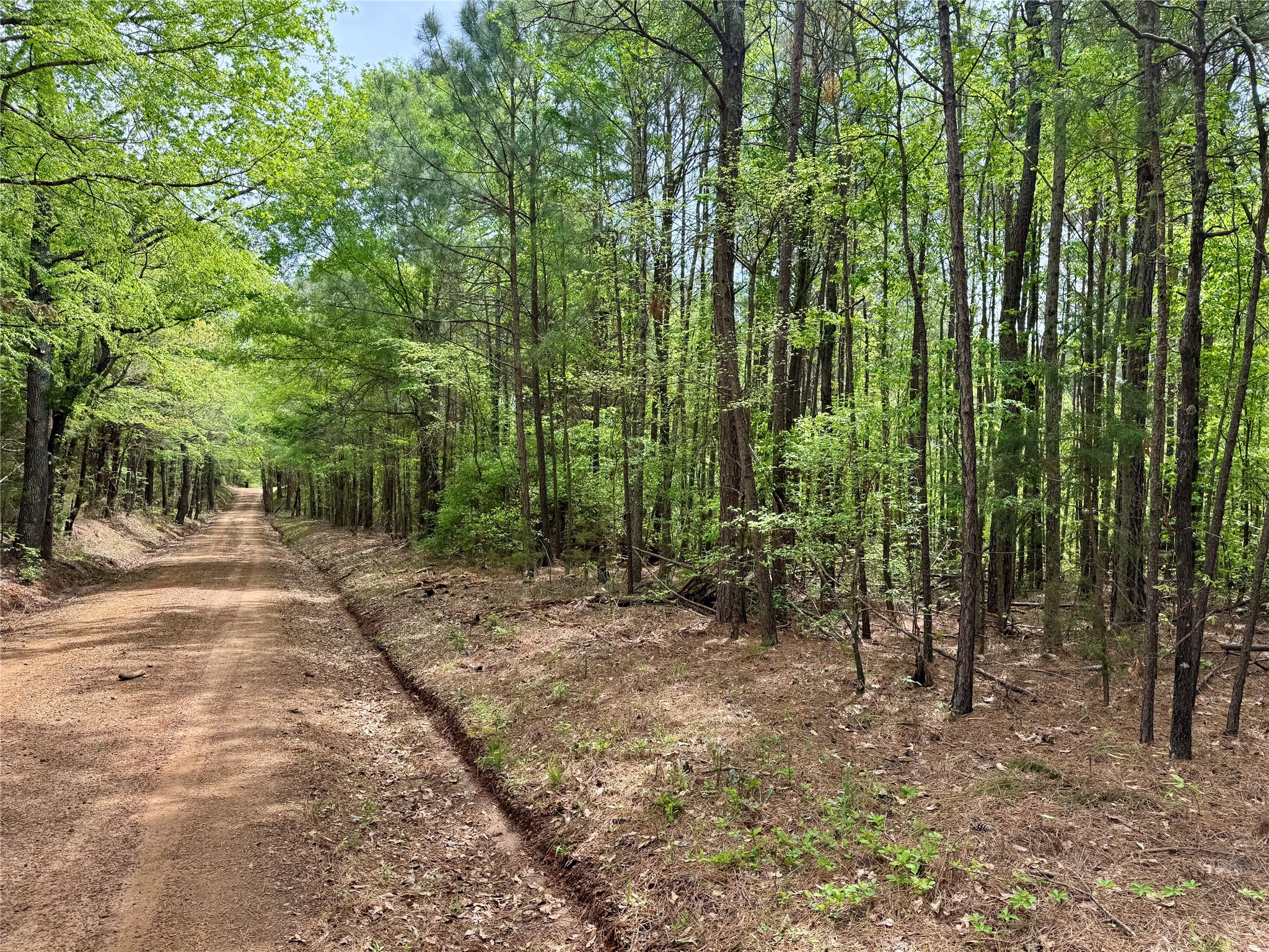 0 County Road 2742 Naples TX 75568
