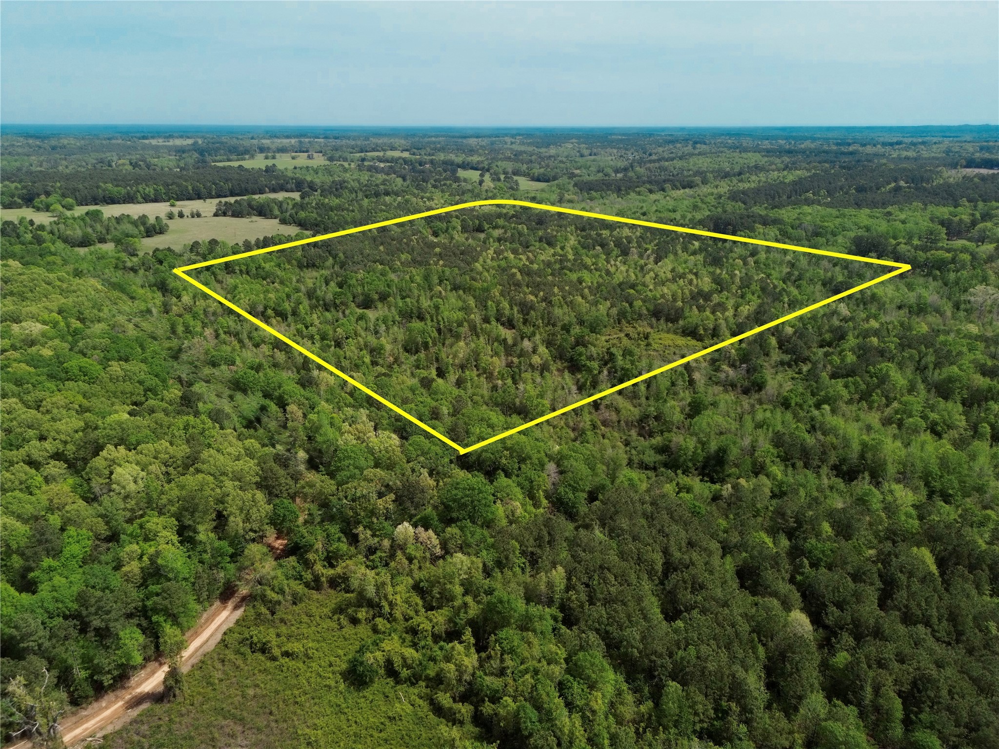 0 County Road 2742 Naples TX 75568