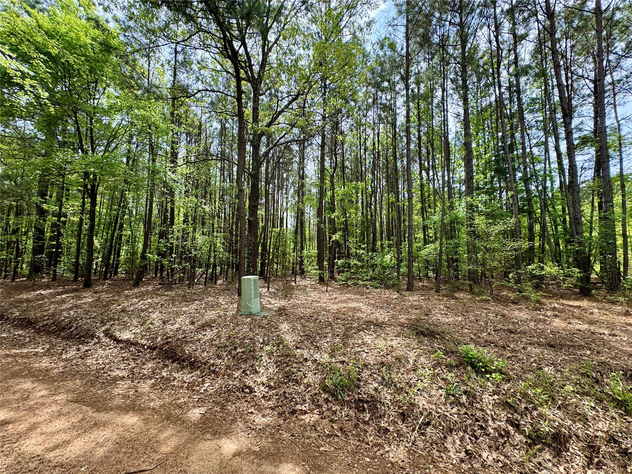 0 County Road 2742 Naples TX 75568