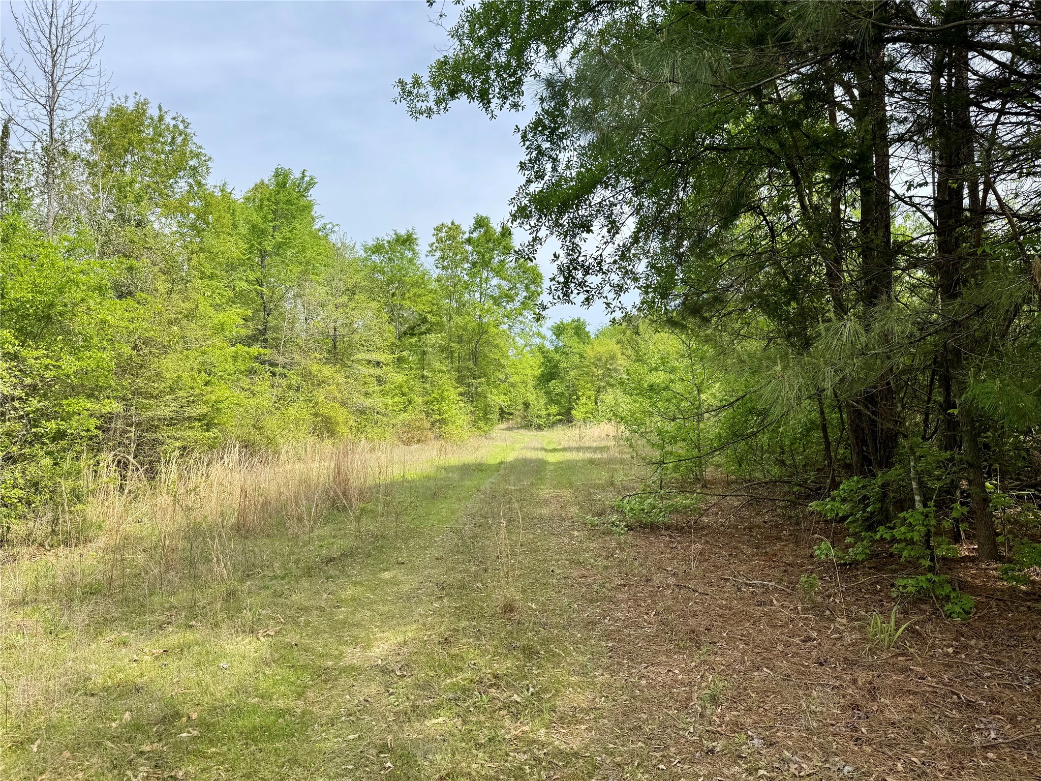 0 County Road 2742 Naples TX 75568