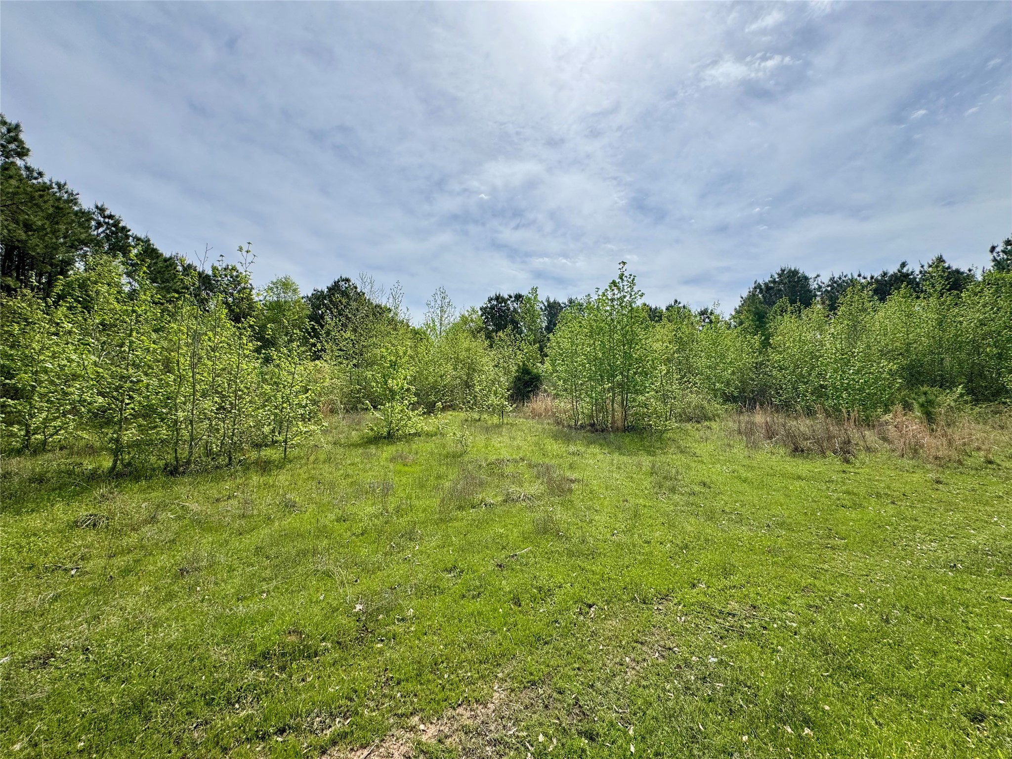 0 County Road 2742 Naples TX 75568