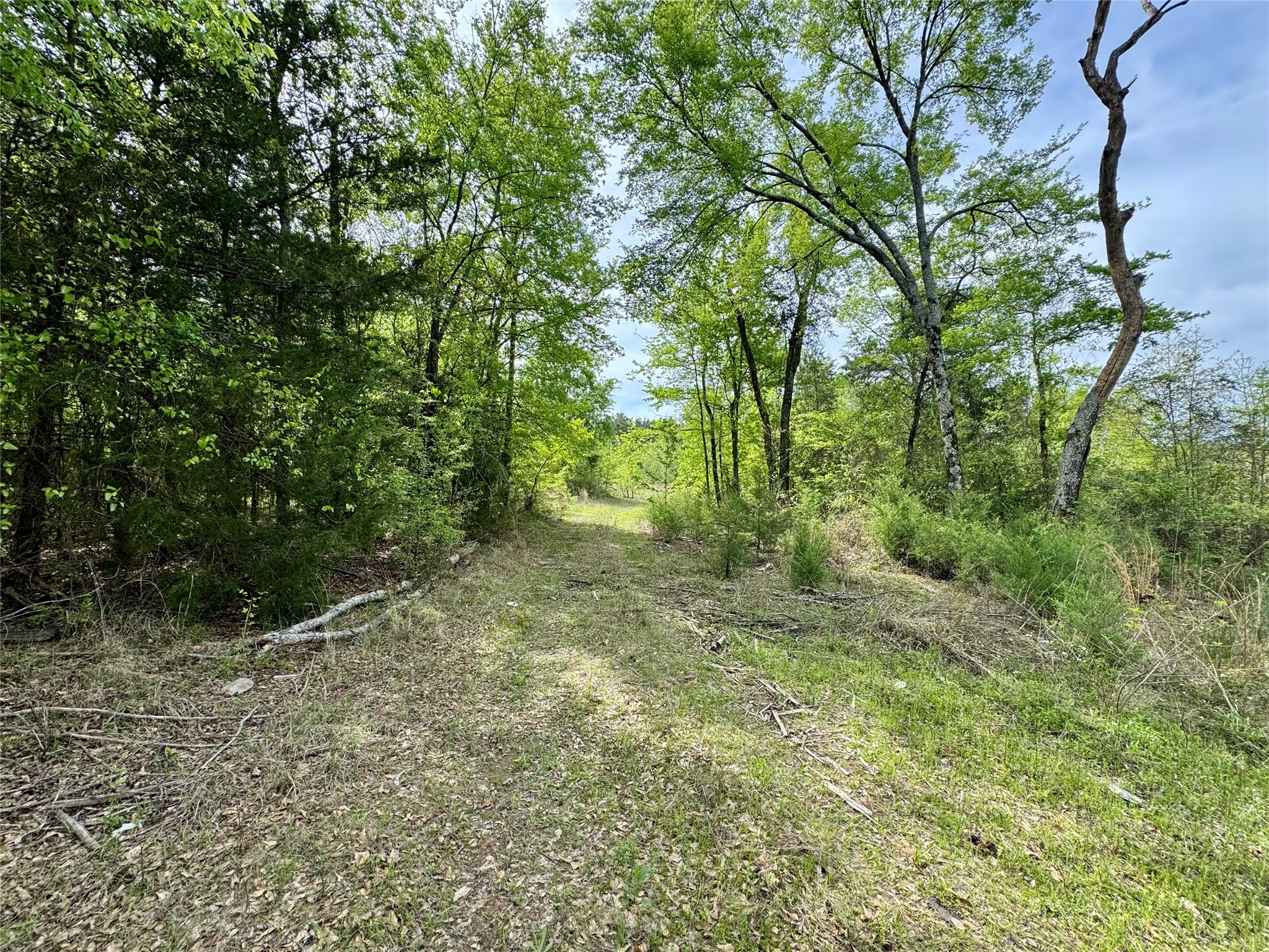 0 County Road 2742 Naples TX 75568