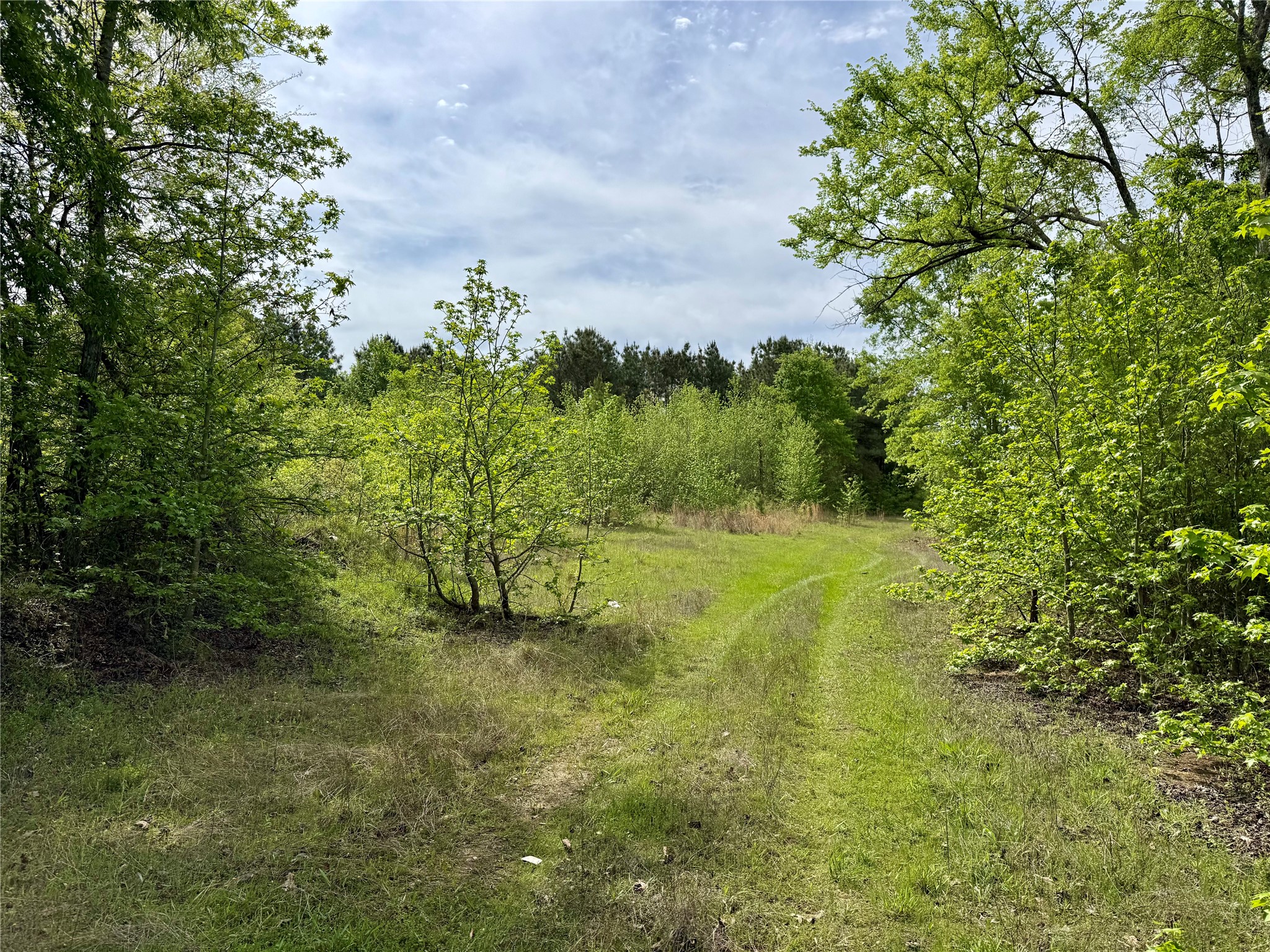 0 County Road 2742 Naples TX 75568