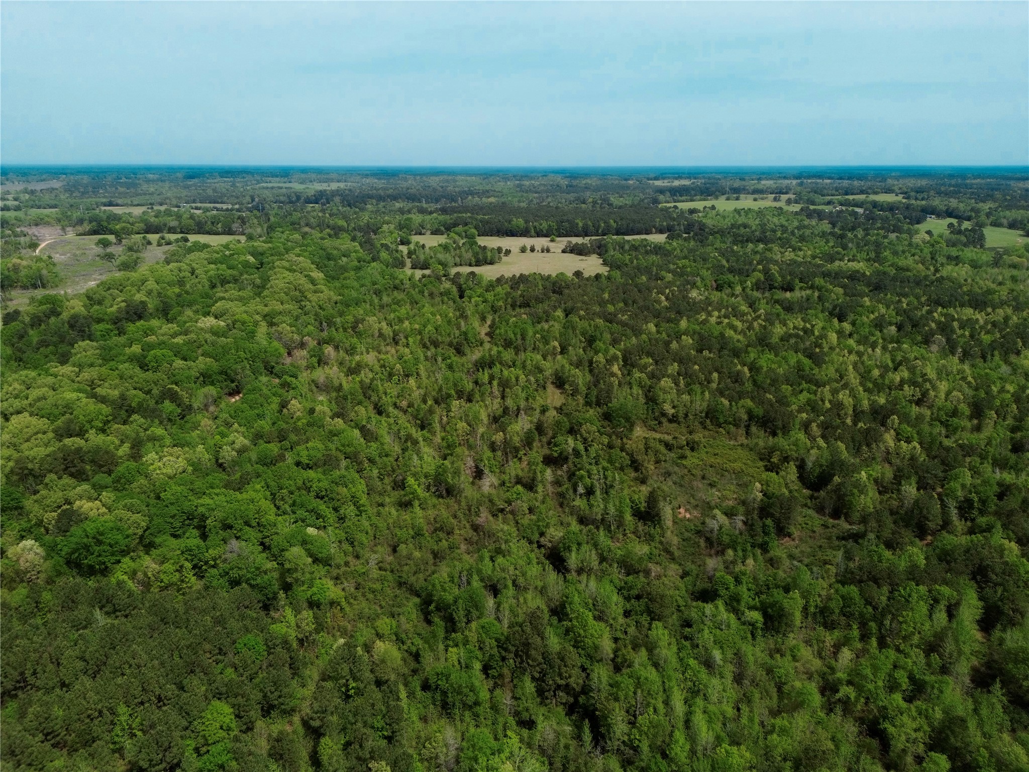 0 County Road 2742 Naples TX 75568