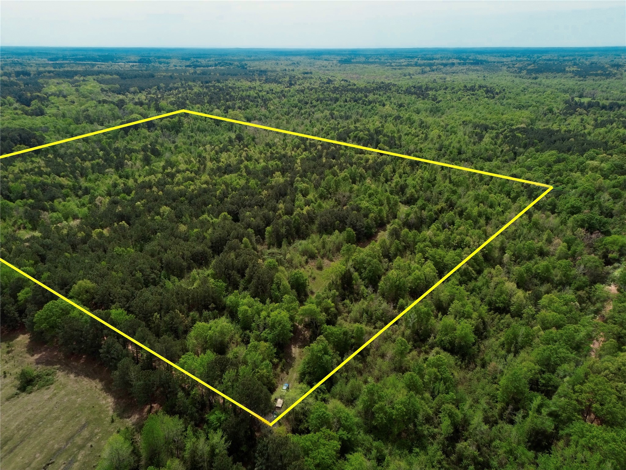 0 County Road 2742 Naples TX 75568