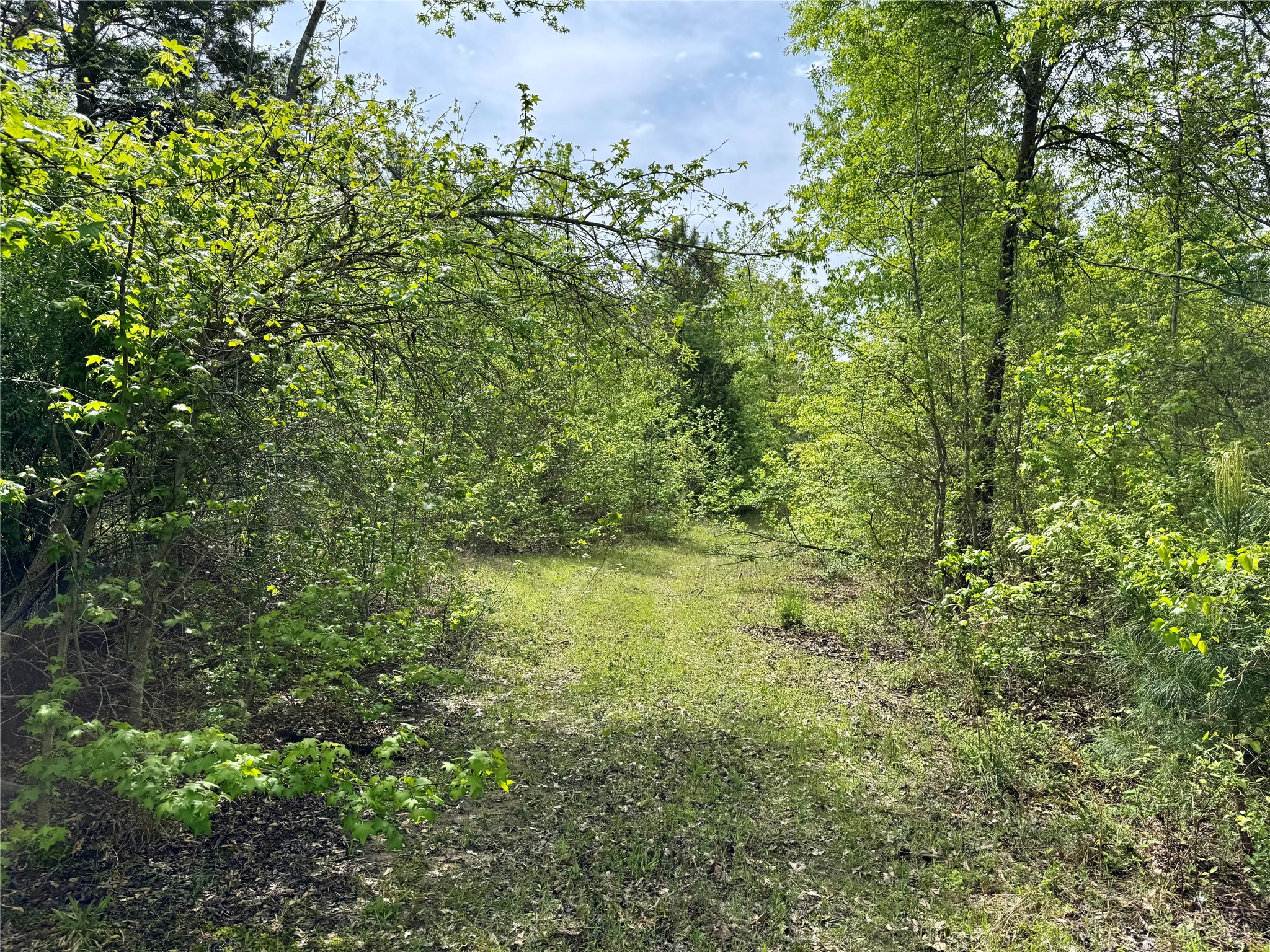 0 County Road 2742 Naples TX 75568