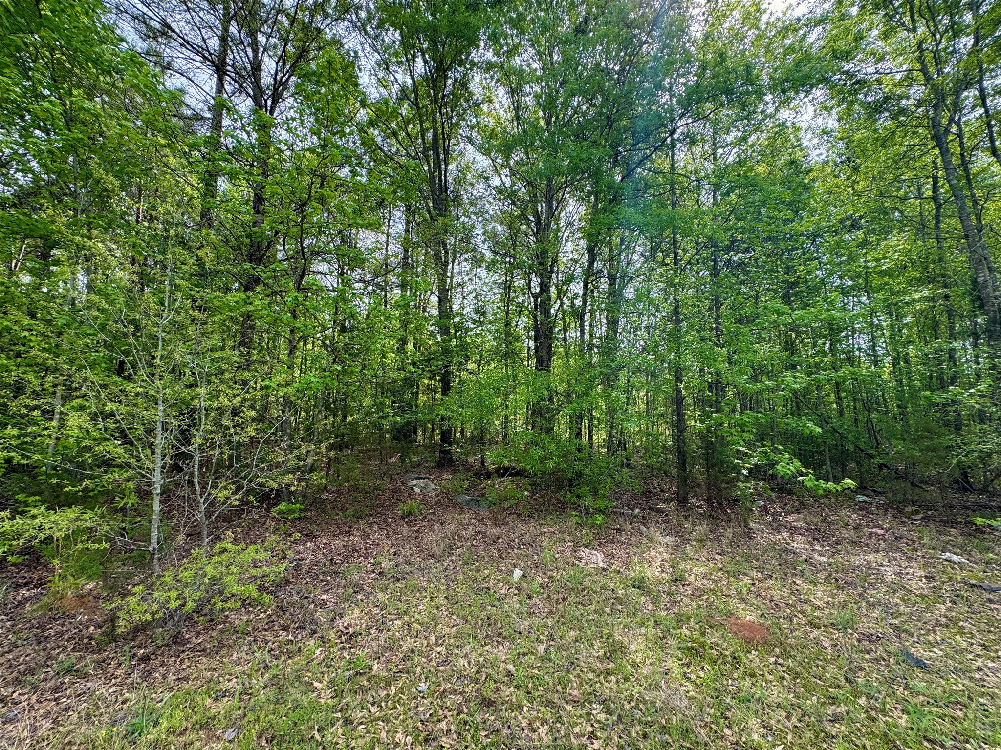 0 County Road 2742 Naples TX 75568