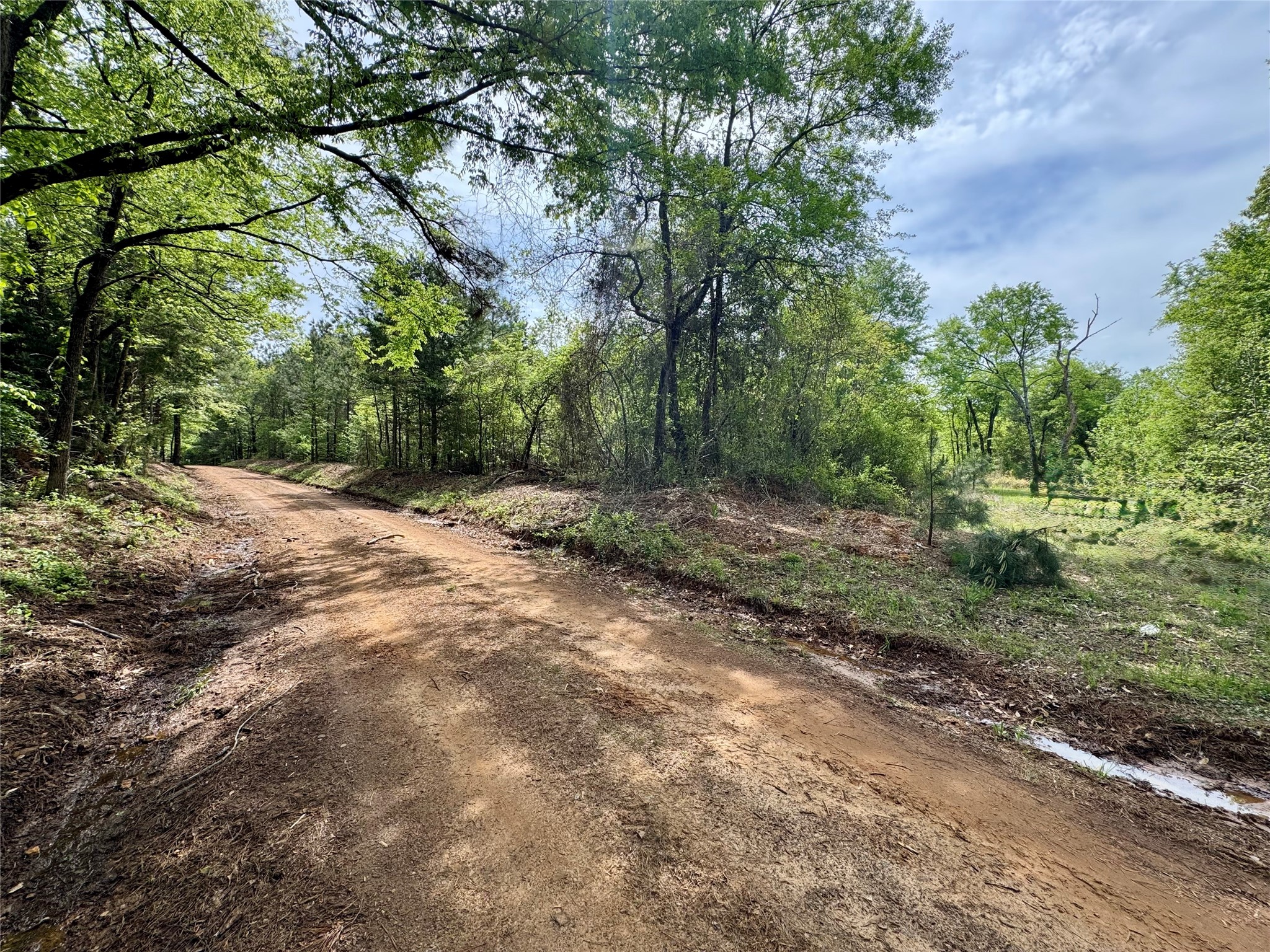 0 County Road 2742 Naples TX 75568