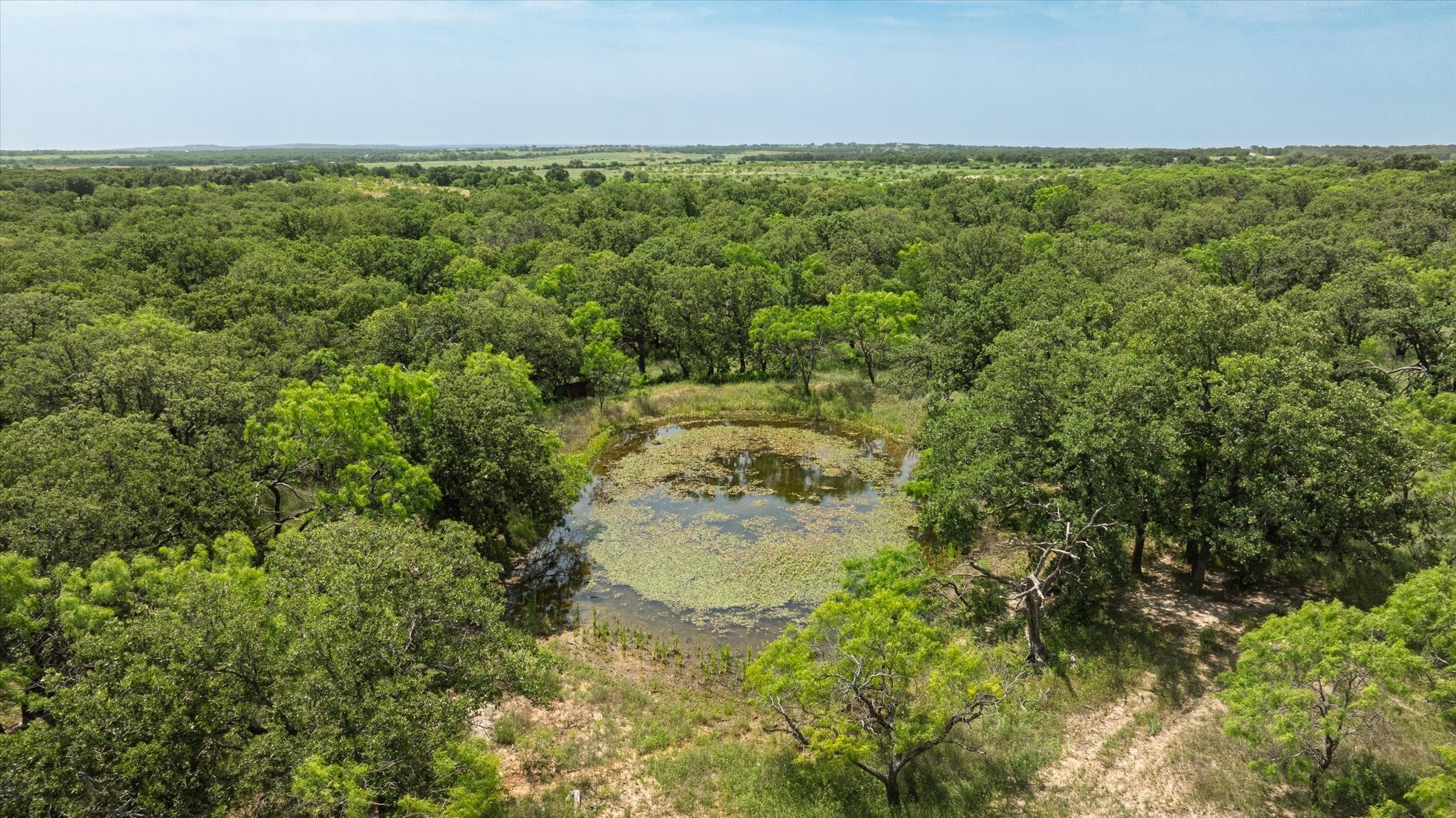 Tbd County Road 268 Rising Star TX 76471