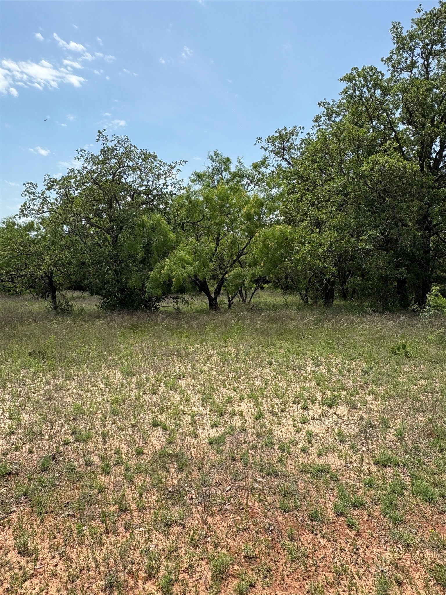 Tbd County Road 268 Rising Star TX 76471