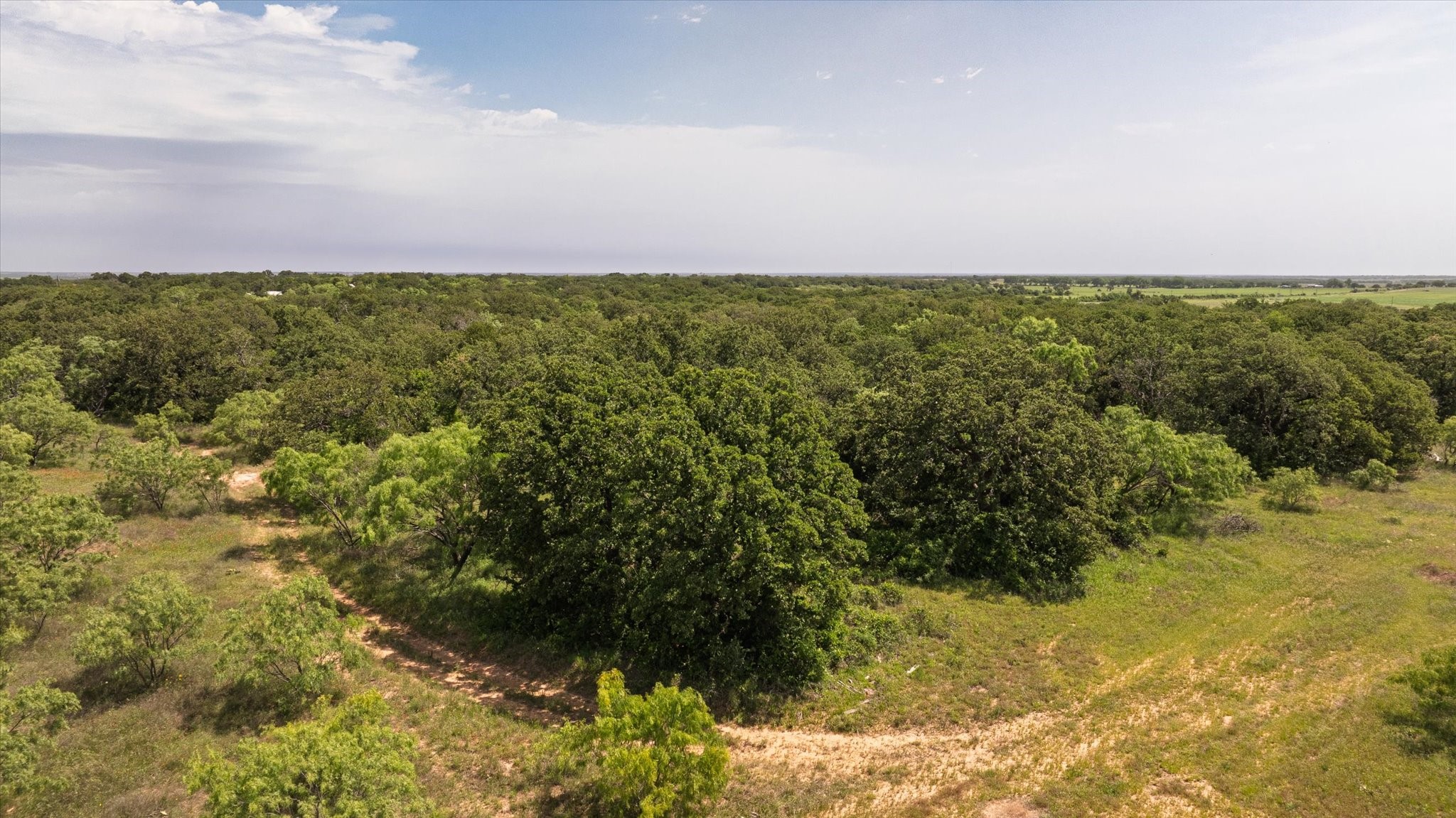 Tbd County Road 268 Rising Star TX 76471