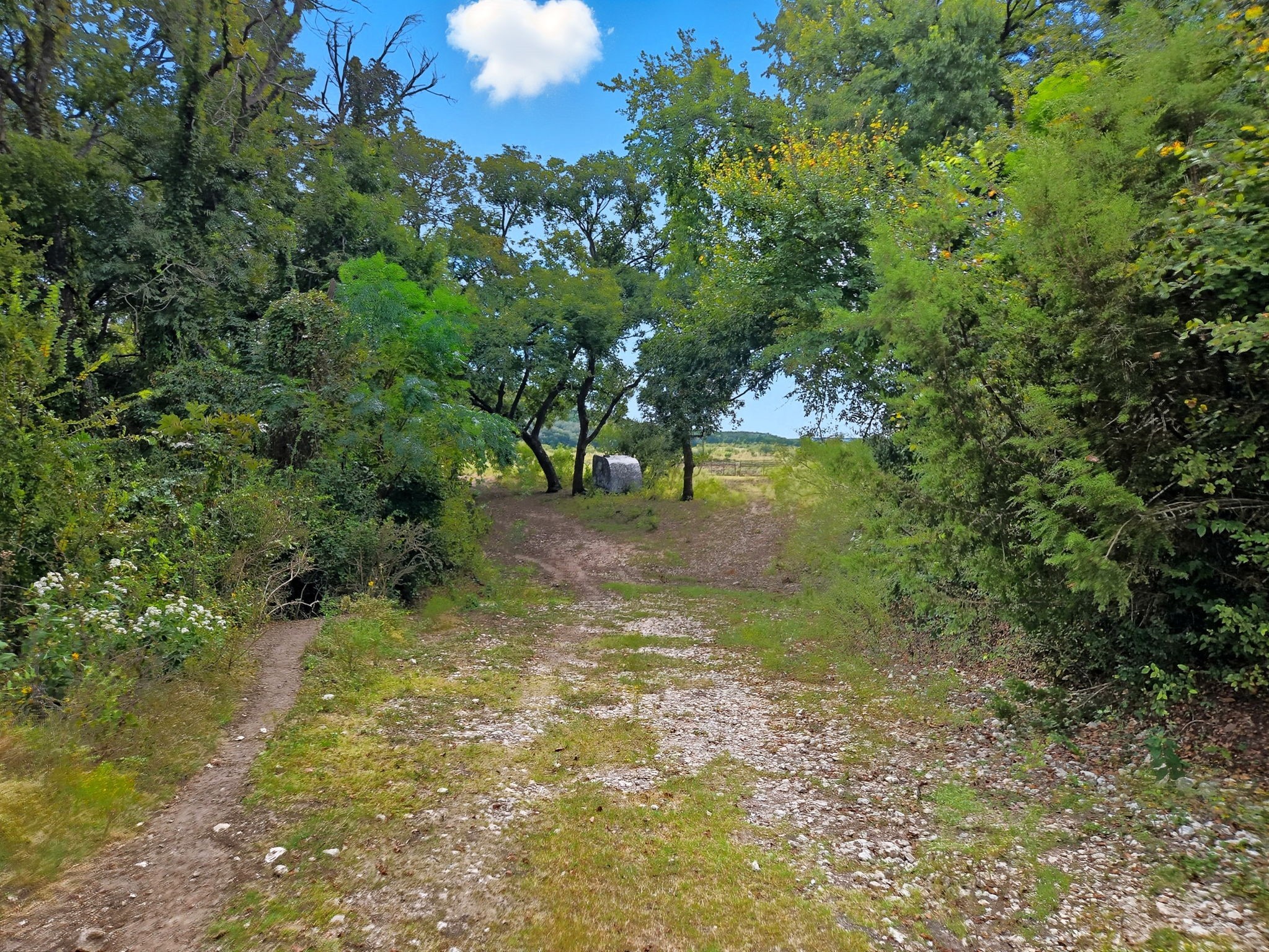 Tdb 482 Acres W Fm 217 Jonesboro TX 76538
