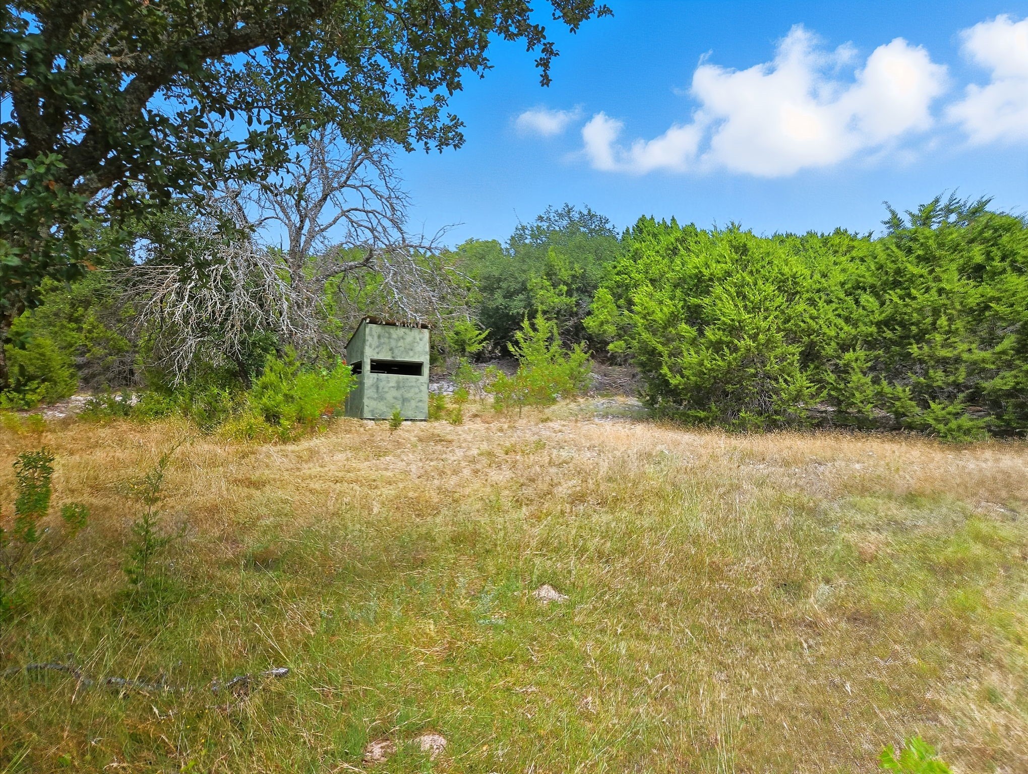 Tdb 482 Acres W Fm 217 Jonesboro TX 76538