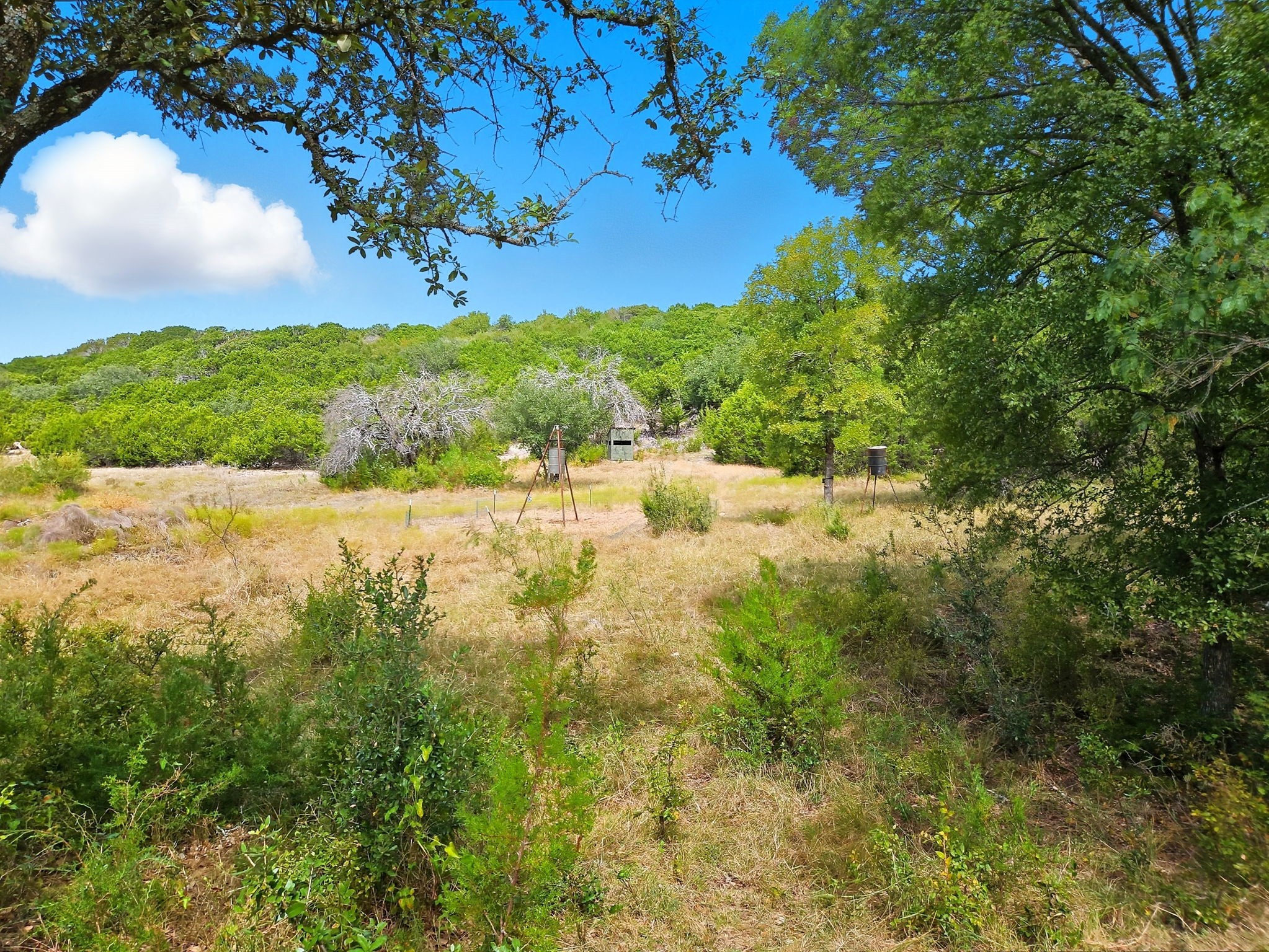 Tdb 482 Acres W Fm 217 Jonesboro TX 76538