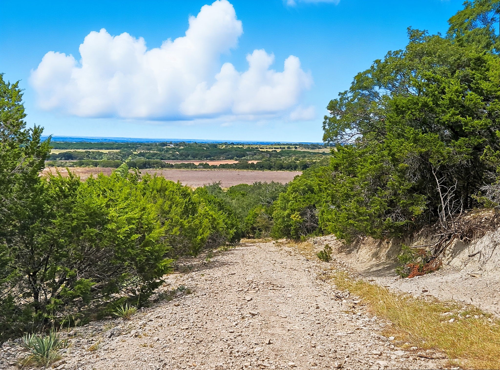 Tdb 482 Acres W Fm 217 Jonesboro TX 76538