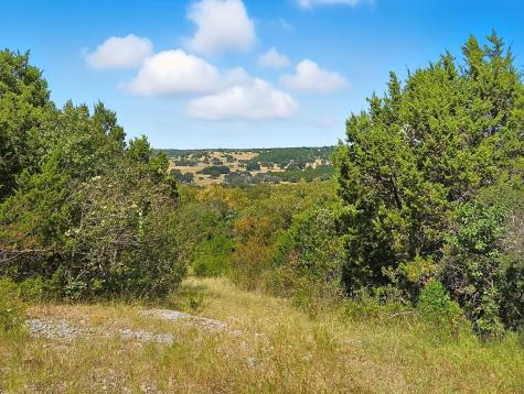 Tdb 482 Acres W Fm 217 Jonesboro TX 76538