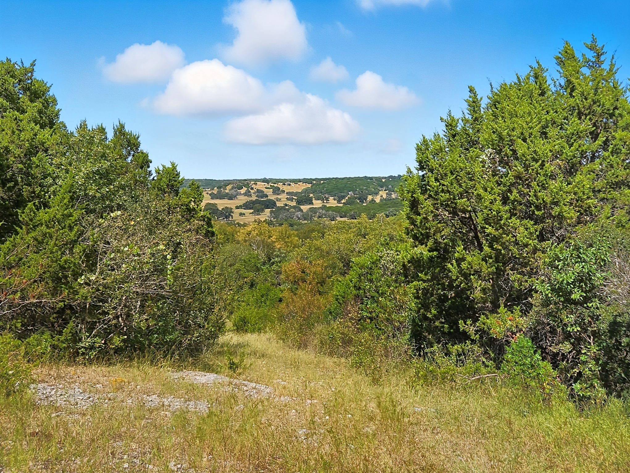 Tdb 482 Acres W Fm 217 Jonesboro TX 76538
