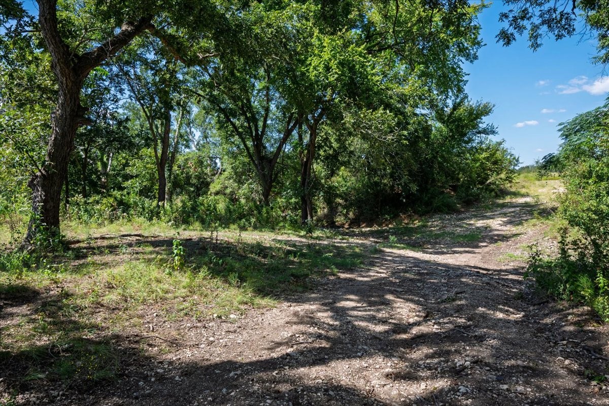 Tdb 482 Acres W Fm 217 Jonesboro TX 76538