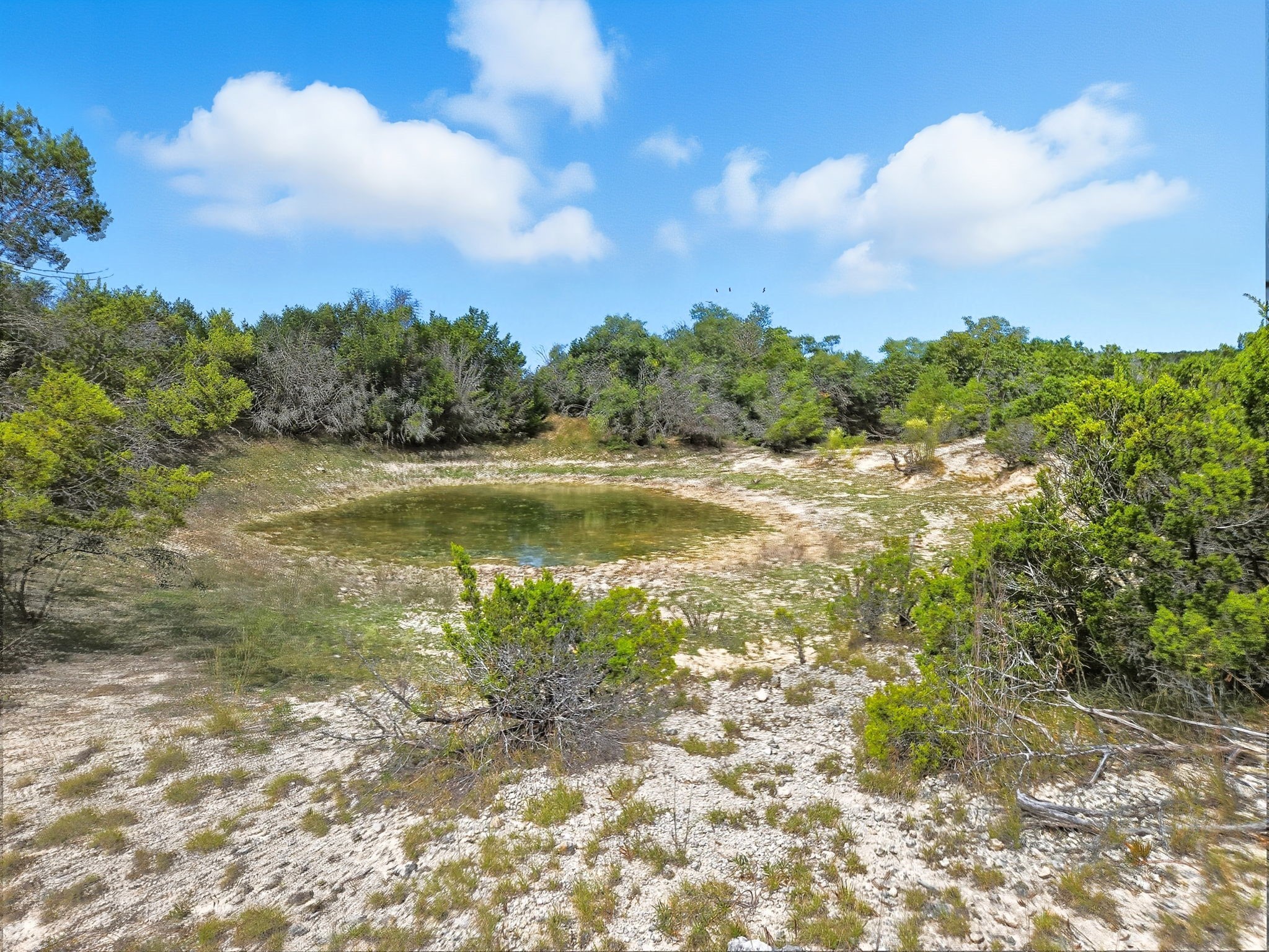 Tdb 482 Acres W Fm 217 Jonesboro TX 76538