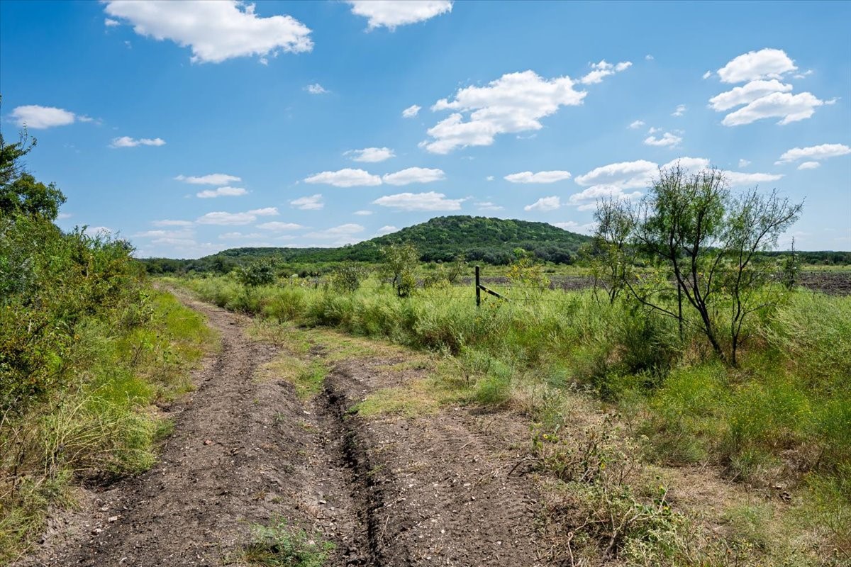 Tdb 482 Acres W Fm 217 Jonesboro TX 76538