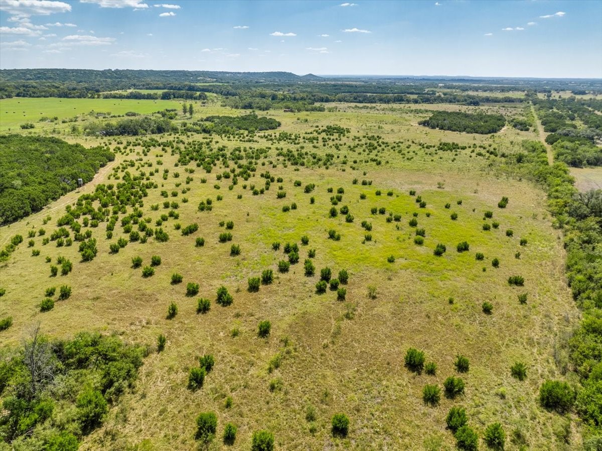 Tdb 482 Acres W Fm 217 Jonesboro TX 76538