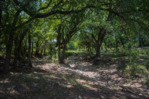 Tdb 482 Acres W Fm 217 Jonesboro TX 76538