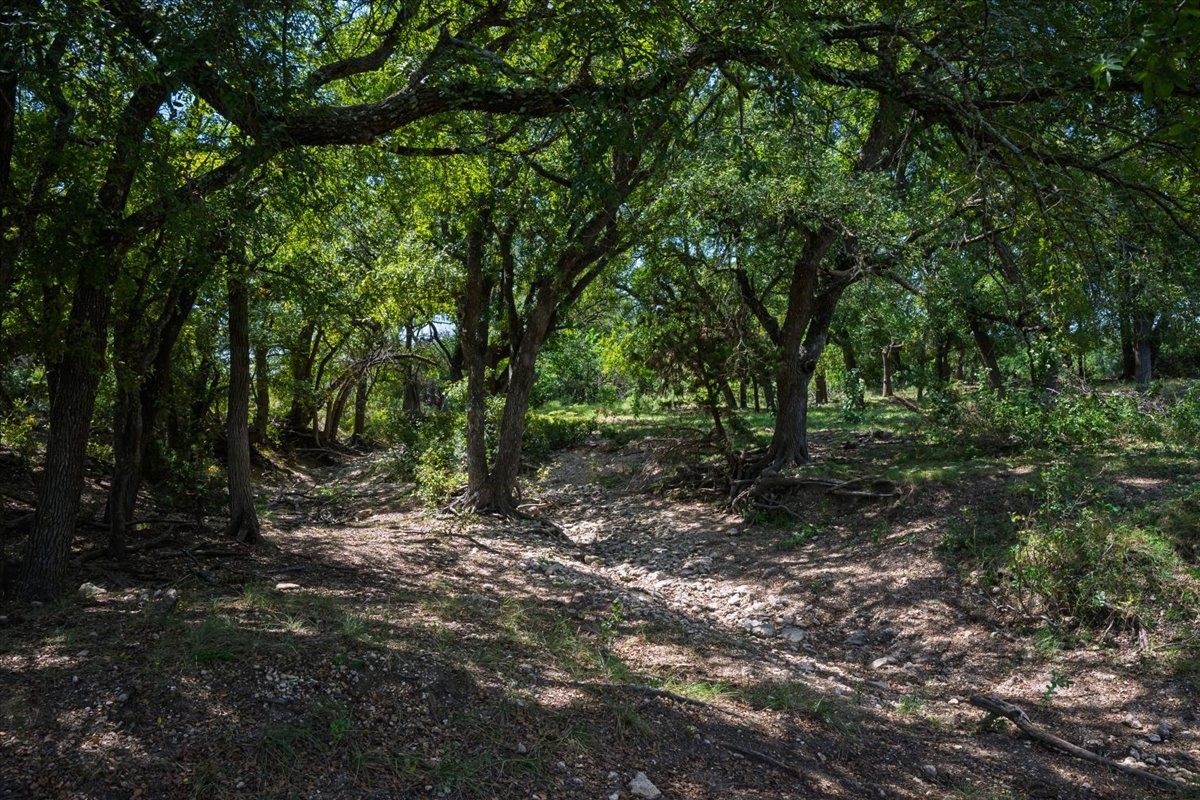 Tdb 482 Acres W Fm 217 Jonesboro TX 76538