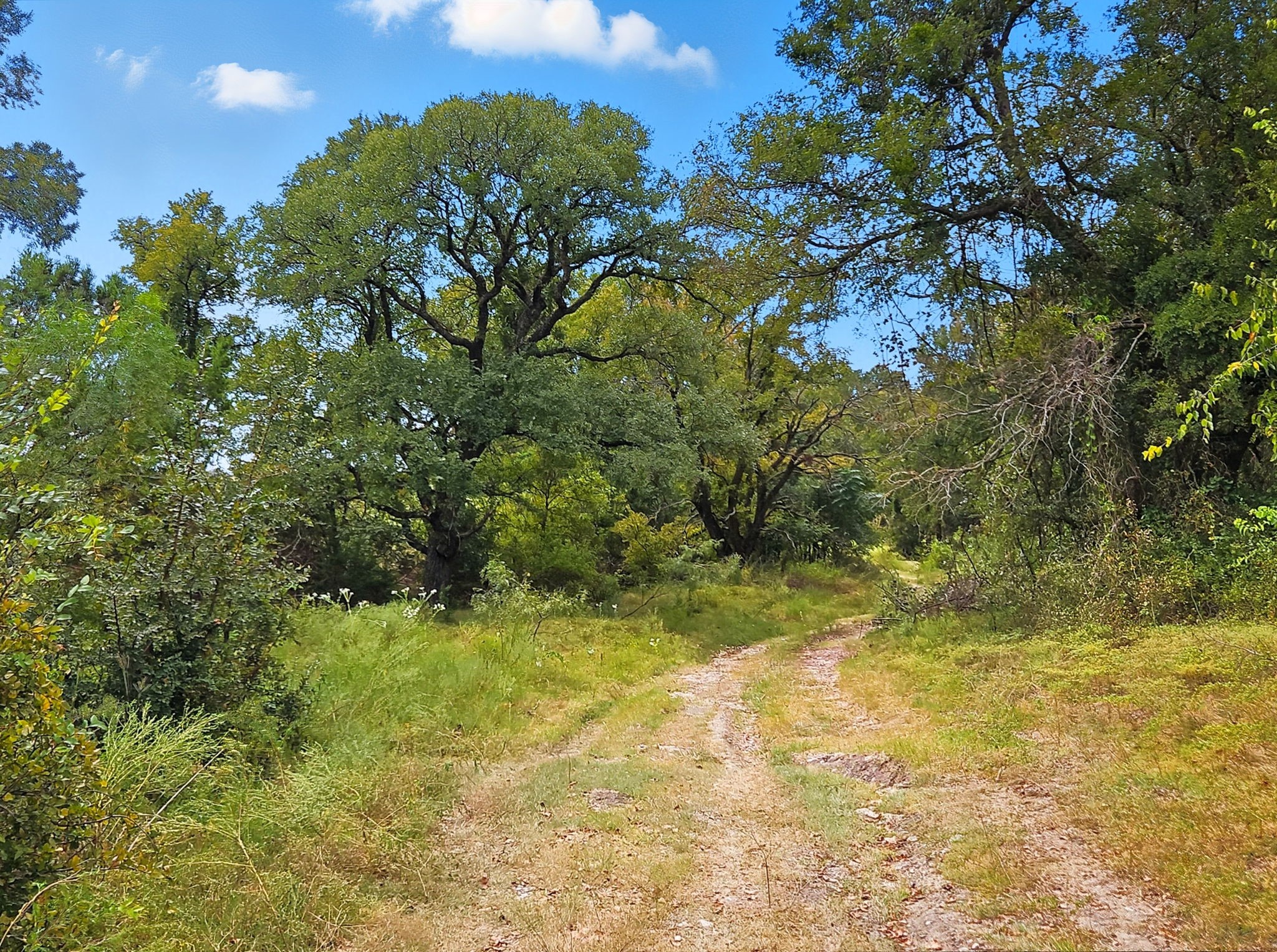 Tdb 482 Acres W Fm 217 Jonesboro TX 76538
