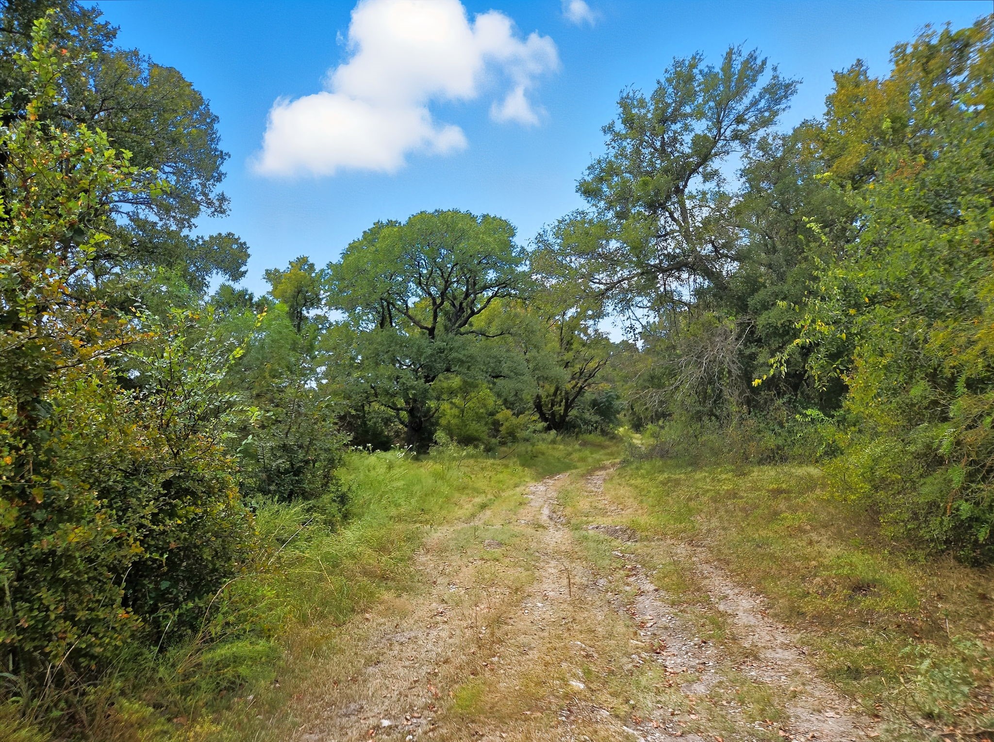 Tdb 482 Acres W Fm 217 Jonesboro TX 76538