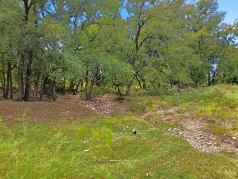 Tdb 482 Acres W Fm 217 Jonesboro TX 76538