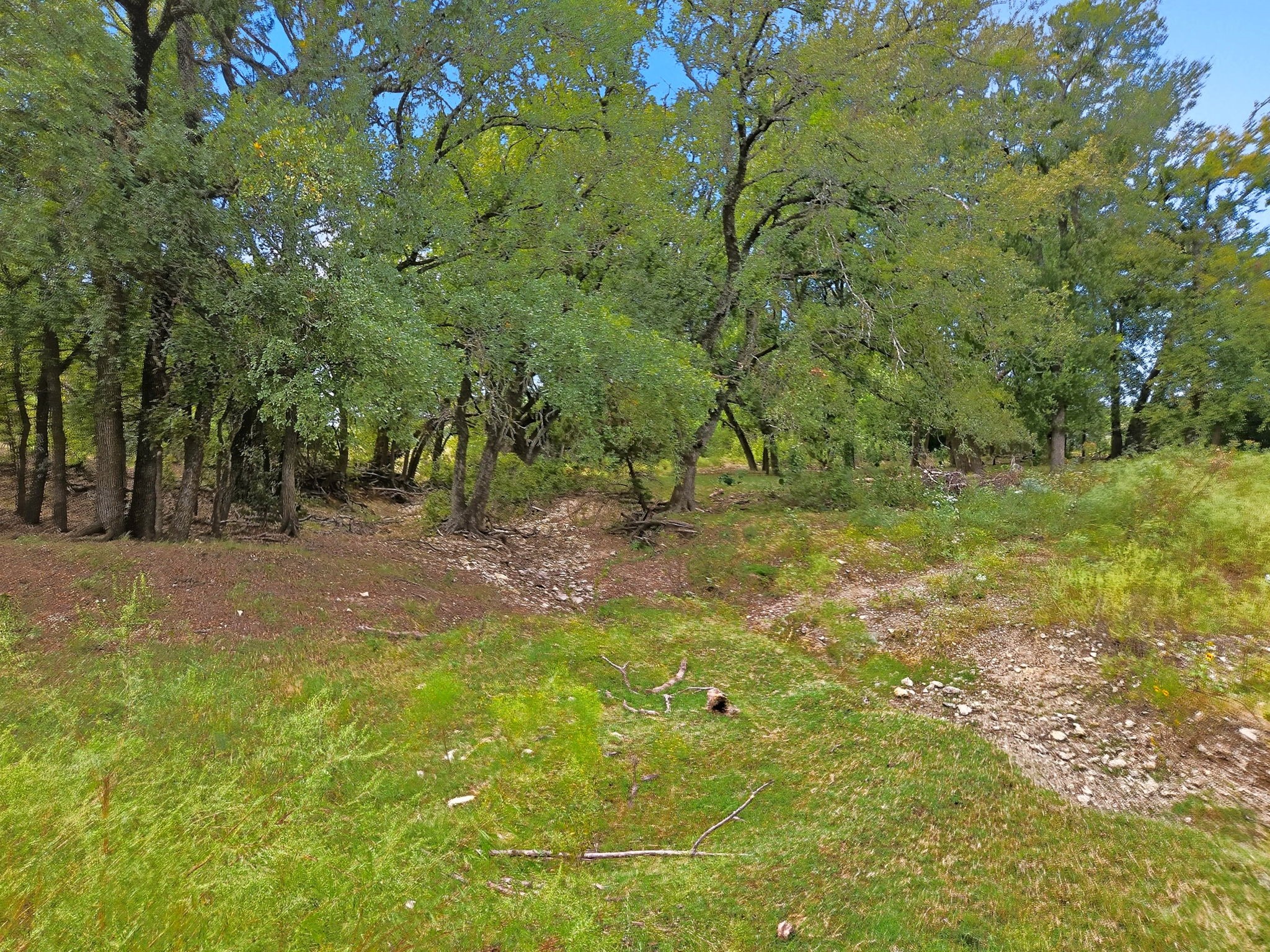 Tdb 482 Acres W Fm 217 Jonesboro TX 76538
