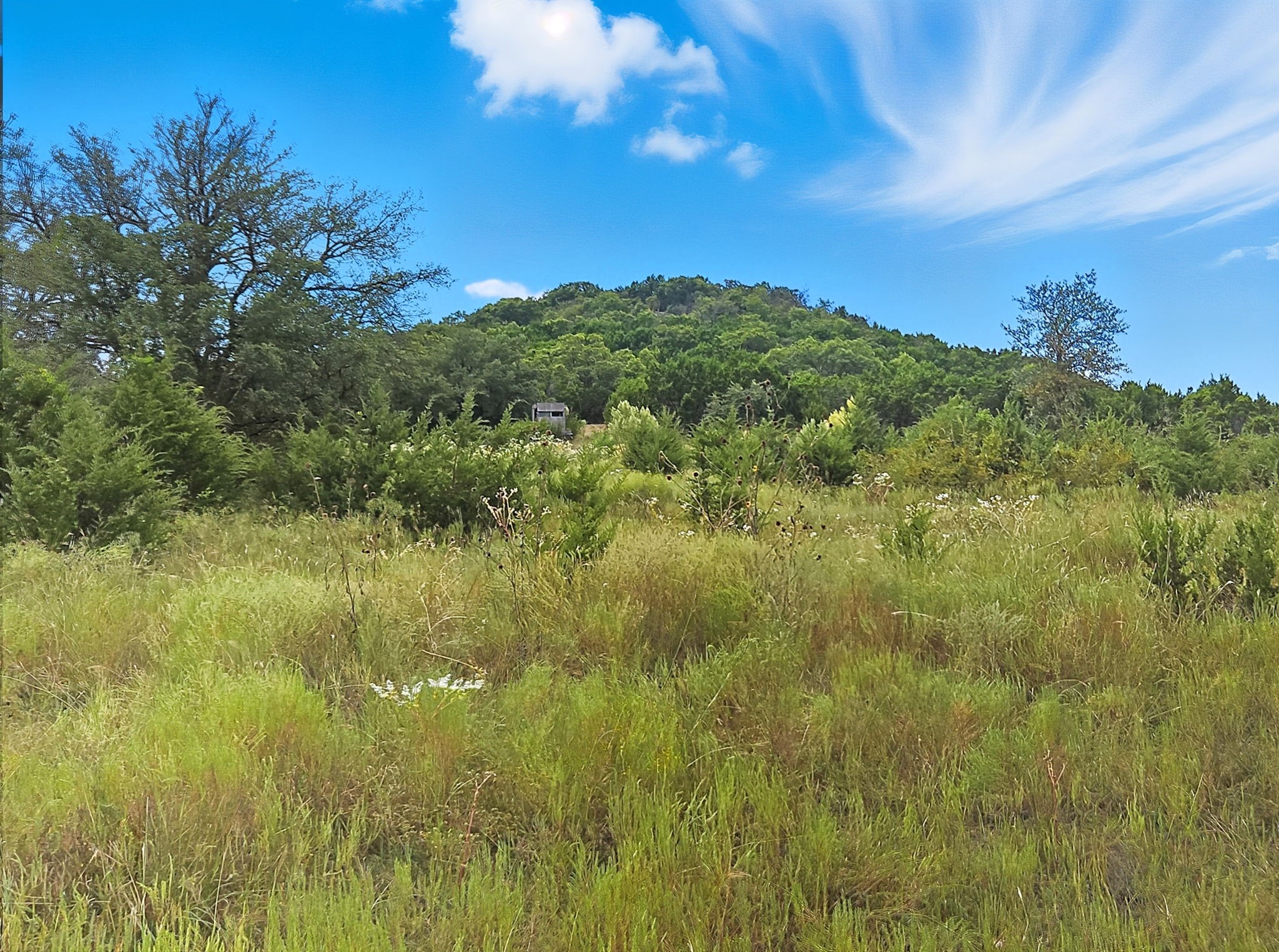 Tdb 482 Acres W Fm 217 Jonesboro TX 76538