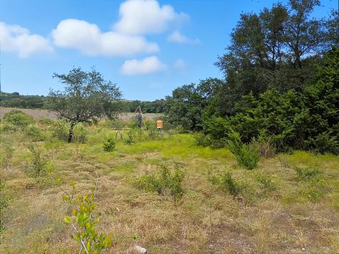 Tdb 482 Acres W Fm 217 Jonesboro TX 76538