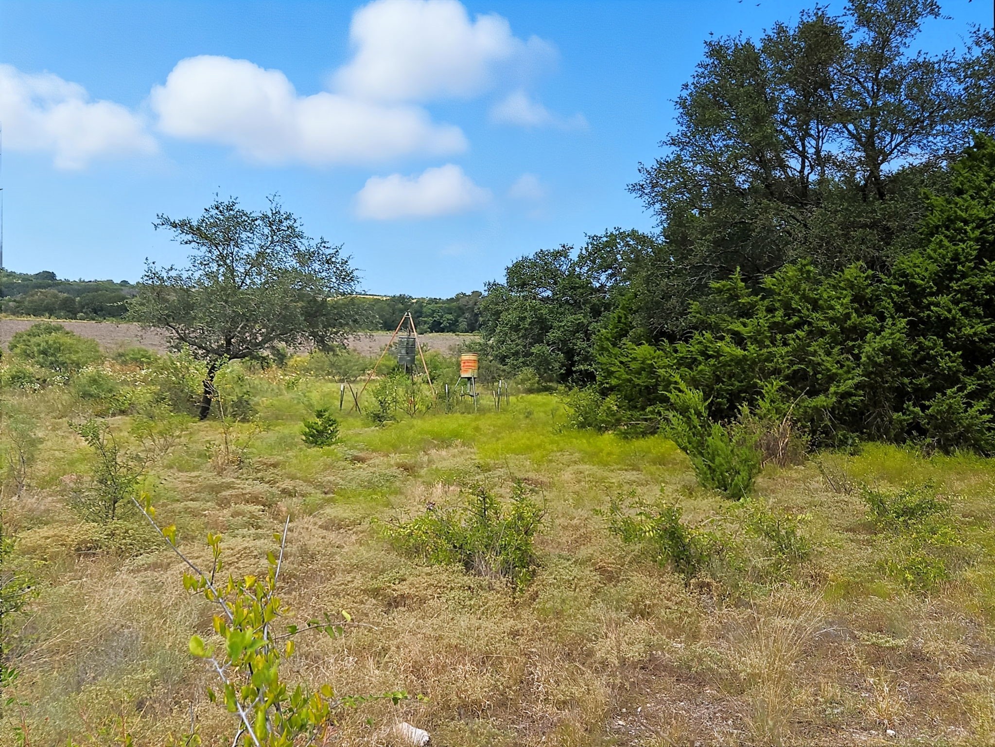Tdb 482 Acres W Fm 217 Jonesboro TX 76538
