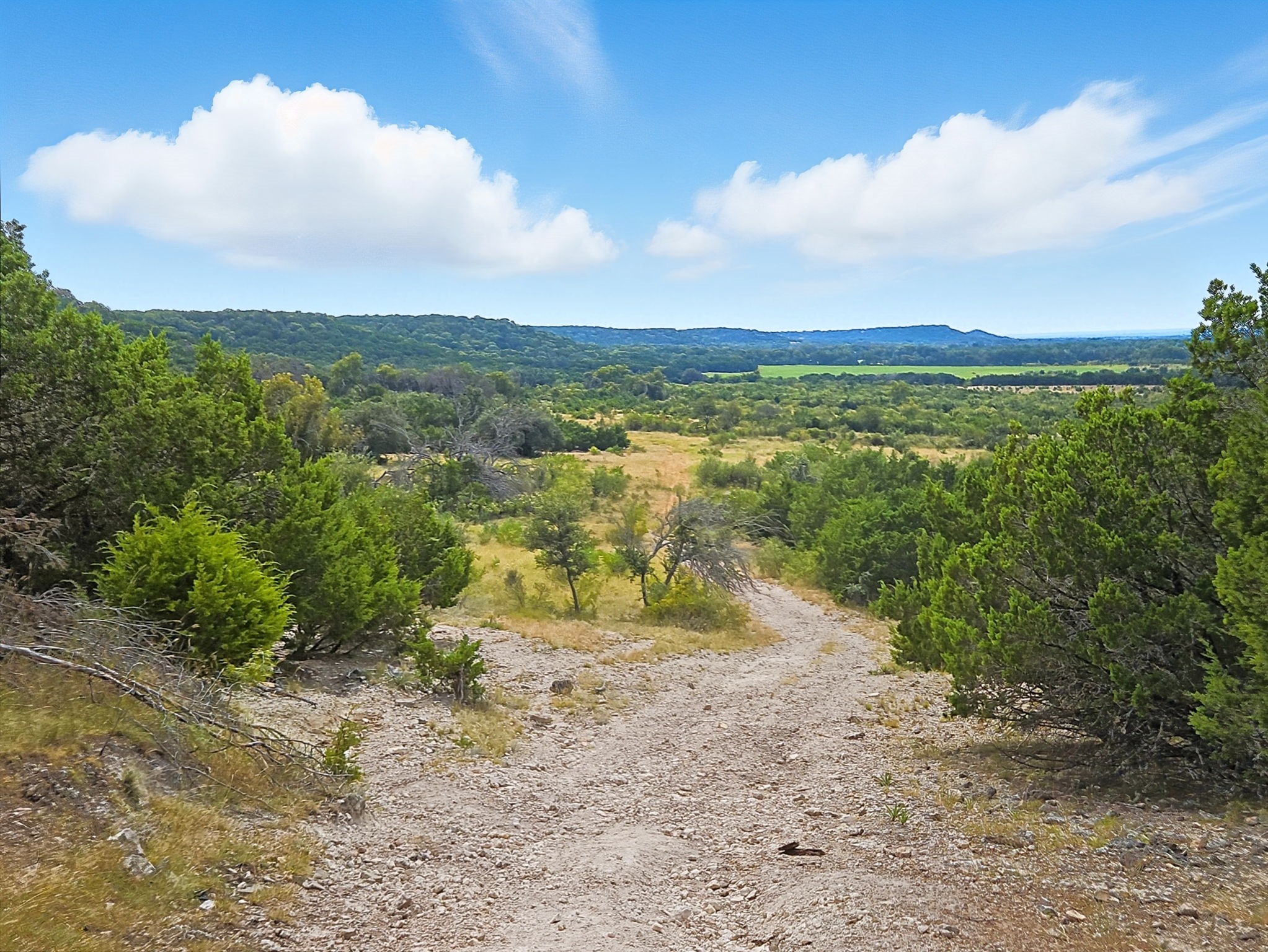 Tdb 482 Acres W Fm 217 Jonesboro TX 76538