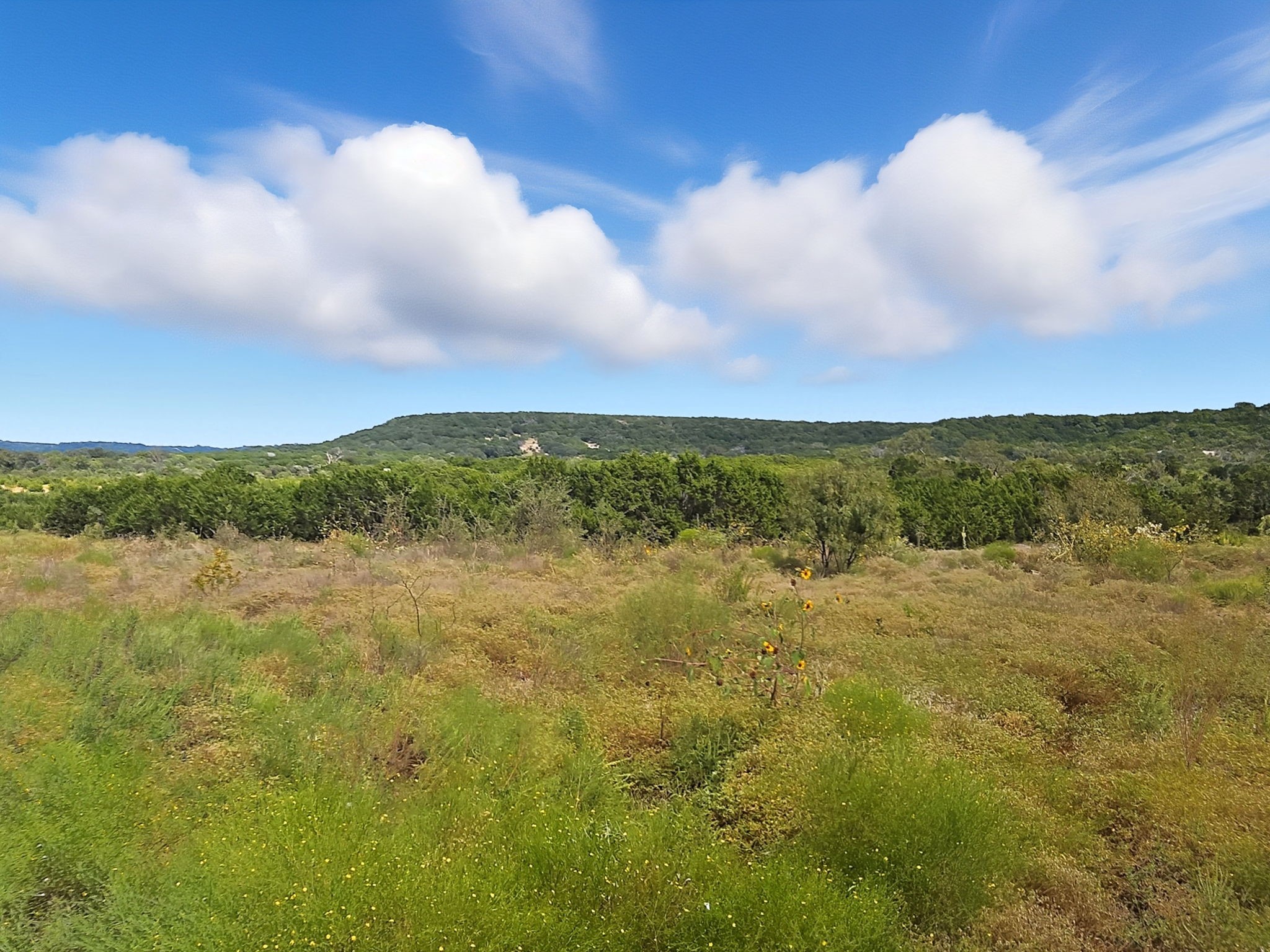 Tdb 482 Acres W Fm 217 Jonesboro TX 76538