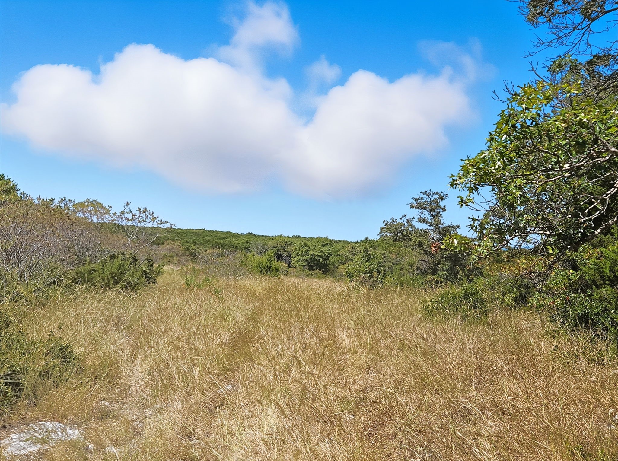 Tdb 482 Acres W Fm 217 Jonesboro TX 76538