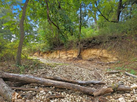 Tdb 482 Acres W Fm 217 Jonesboro TX 76538